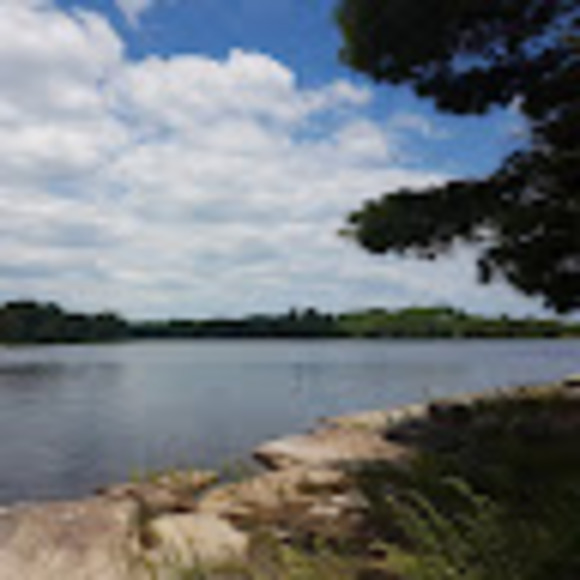 Meet your Posher, Alex - Picture 1 of 1